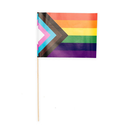 Regenboog Vlag Progress 10st van WeFiesta koop je bij Partywinkel