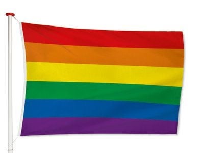 Regenboogvlag 150cm van Partychimp koop je bij Partywinkel