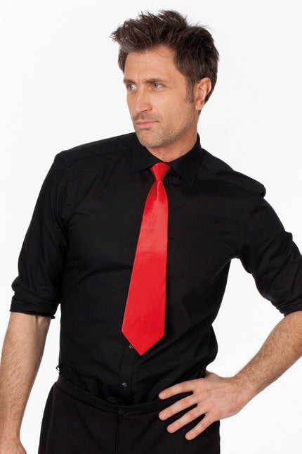 Rode Stropdas van Wilbers & Wilbers koop je bij Partywinkel