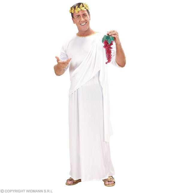 Romeins Kostuum Toga van Widmann koop je bij Partywinkel