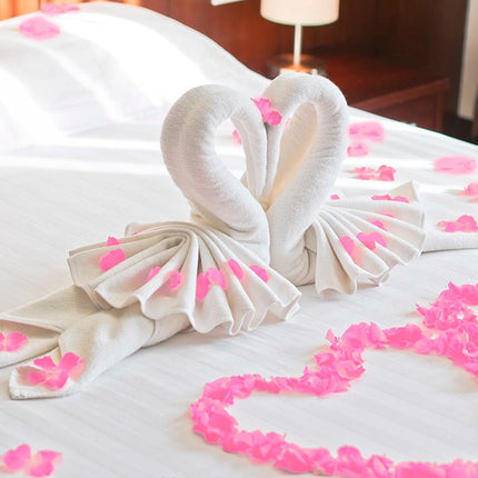 Roze Rozenblaadjes Zak 100st van Fiestas Guirca koop je bij Partywinkel