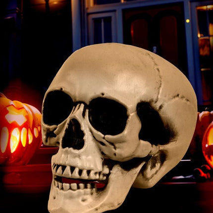 Schedel met Beweegbare Kaak 12cm van Widmann koop je bij Partywinkel