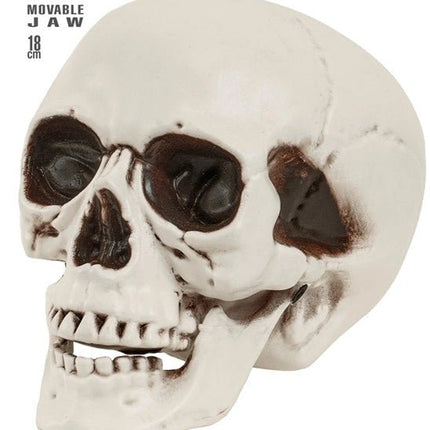 SCHEDEL MET BEWEEGBARE KAAK 18 CM van Widmann koop je bij Partywinkel
