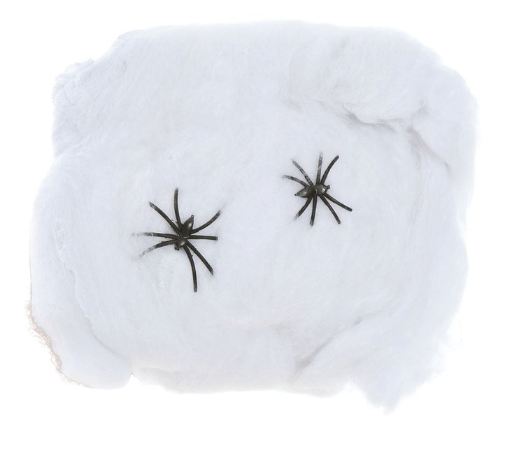 Spinnenweb 40gr van Fiestas Guirca koop je bij Partywinkel