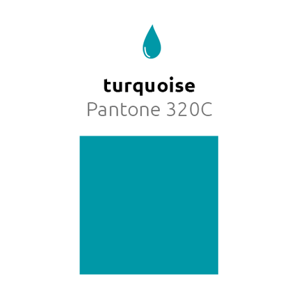 Turquoise Ballonnen 30cm 10st van Balloonia koop je bij Partywinkel