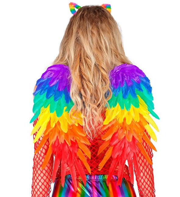 VEREN VLEUGELS REGENBOOG OPVOUWBAAR 50 X 50 CM van Widmann koop je bij Partywinkel