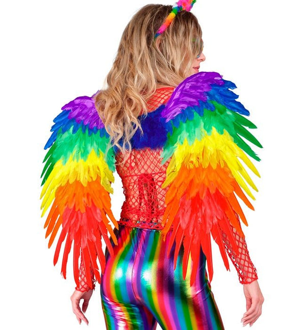 Veren Vleugels Regenboog Opvouwbaar 80X60 cm van Widmann koop je bij Partywinkel