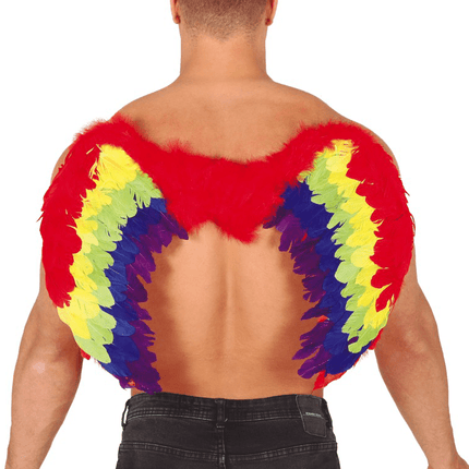 Verenvleugels Gekleurd 80cm van Fiestas Guirca koop je bij Partywinkel