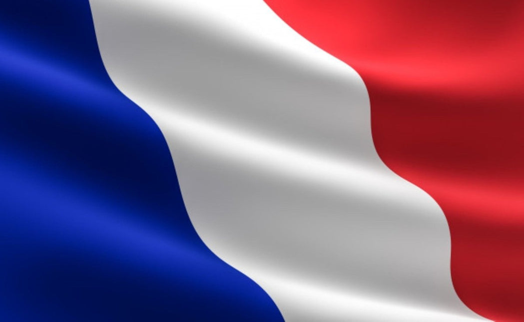 Vlag Frankrijk 150cm van Partychimp koop je bij Partywinkel