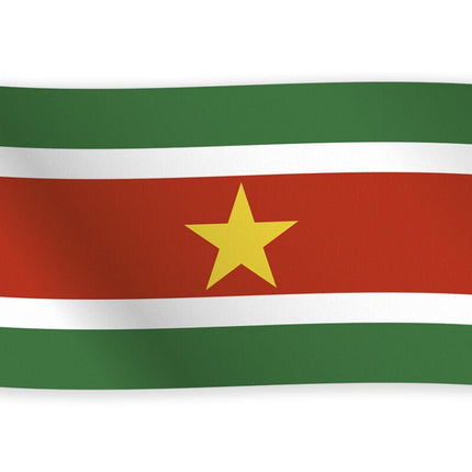Vlag Suriname 1,5m van WeFiesta koop je bij Partywinkel