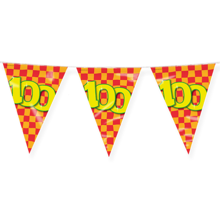 Vlaggenlijn 100 Jaar Gekleurd 10m van Paper Dreams koop je bij Partywinkel