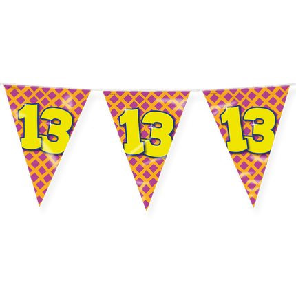 Vlaggenlijn 13 Jaar Gekleurd 10m van Paper Dreams koop je bij Partywinkel
