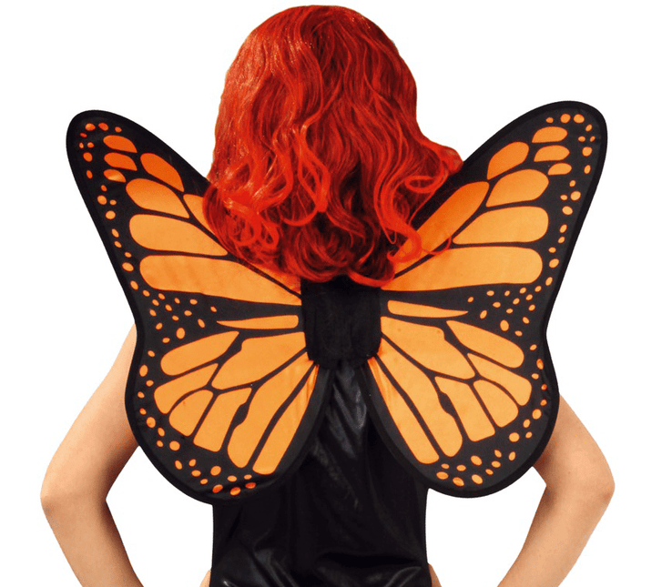 Vlindervleugels 57cm van Fiestas Guirca koop je bij Partywinkel