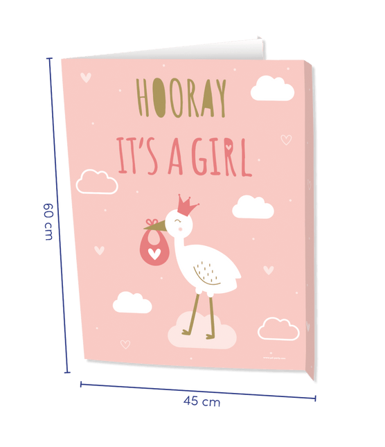 Window signs Newborn baby girl 60cm van Paper Dreams koop je bij Partywinkel