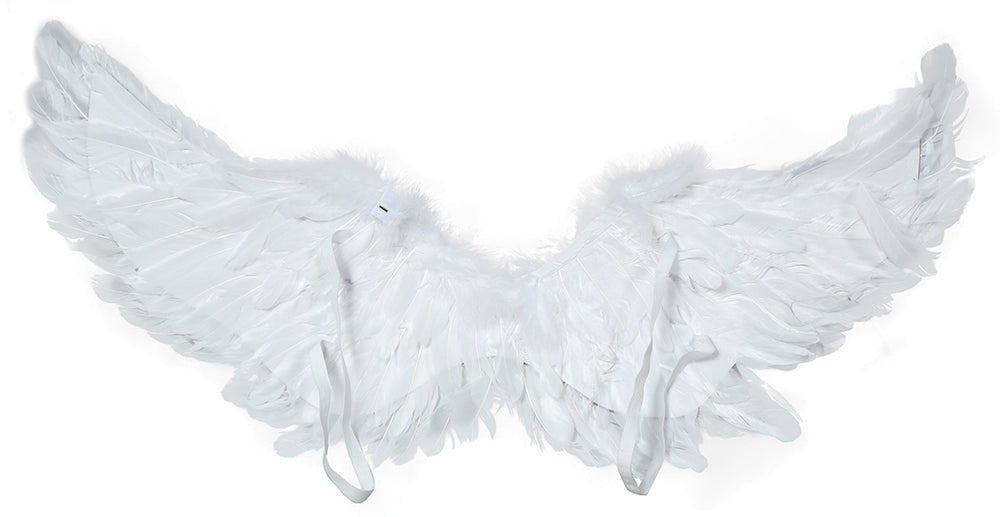 Witte Vleugels 80cm van Fiestas Guirca koop je bij Partywinkel